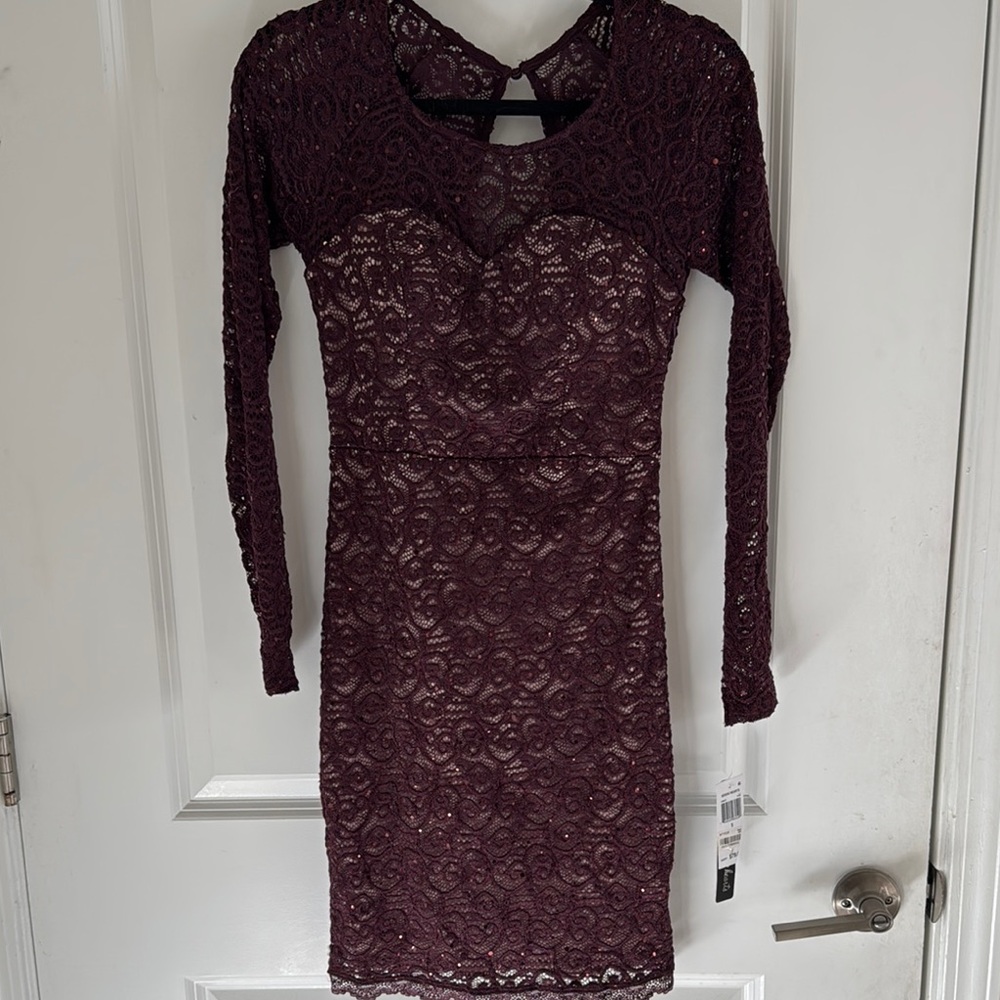 Elegant Lace Long Sleeve Dress